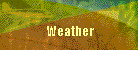 Weather